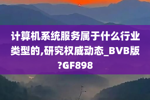 计算机系统服务属于什么行业类型的,研究权威动态_BVB版?GF898