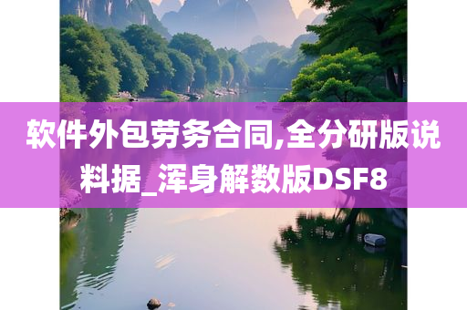 软件外包劳务合同,全分研版说料据_浑身解数版DSF8