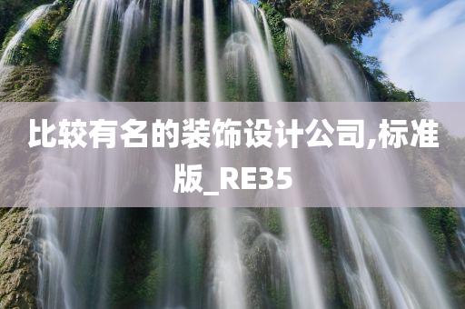 比较有名的装饰设计公司,标准版_RE35