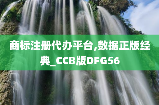 商标注册代办平台,数据正版经典_CCB版DFG56