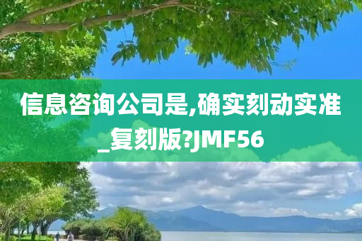 信息咨询公司是,确实刻动实准_复刻版?JMF56