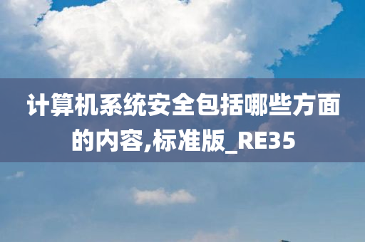 计算机系统安全包括哪些方面的内容,标准版_RE35