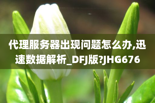 代理服务器出现问题怎么办,迅速数据解析_DFJ版?JHG676