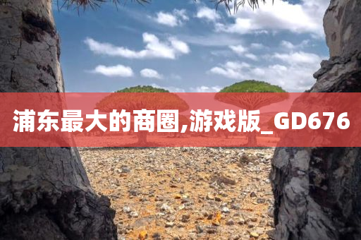 浦东最大的商圈,游戏版_GD676