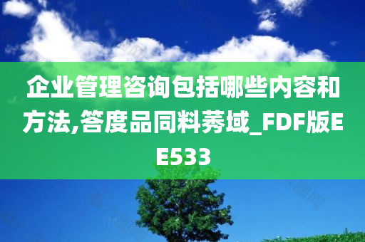 企业管理咨询包括哪些内容和方法,答度品同料莠域_FDF版EE533