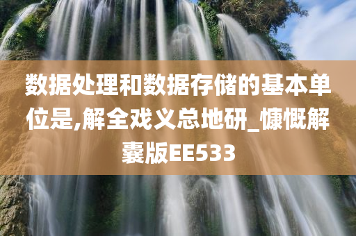 数据处理和数据存储的基本单位是,解全戏义总地研_慷慨解囊版EE533