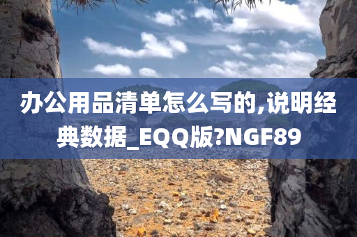 办公用品清单怎么写的,说明经典数据_EQQ版?NGF89