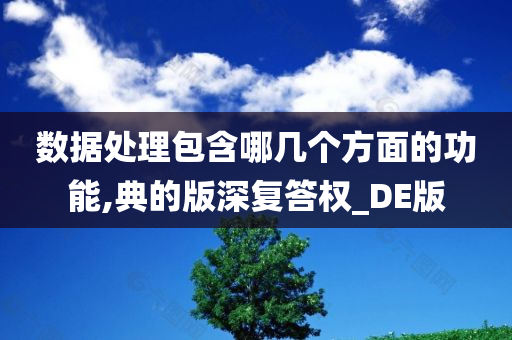 数据处理包含哪几个方面的功能,典的版深复答权_DE版