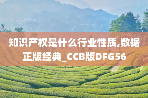 知识产权是什么行业性质,数据正版经典_CCB版DFG56