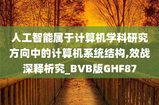 人工智能属于计算机学科研究方向中的计算机系统结构,效战深释析究_BVB版GHF87