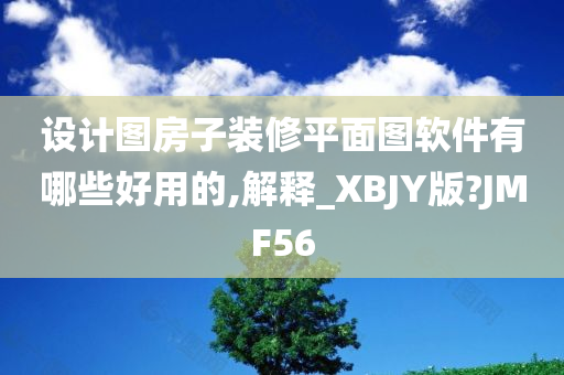 设计图房子装修平面图软件有哪些好用的,解释_XBJY版?JMF56