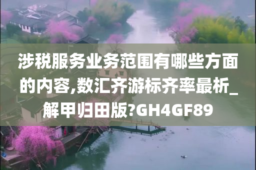 涉税服务业务范围有哪些方面的内容,数汇齐游标齐率最析_解甲归田版?GH4GF89