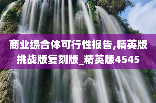 商业综合体可行性报告,精英版挑战版复刻版_精英版4545