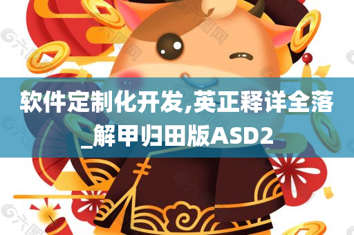 软件定制化开发,英正释详全落_解甲归田版ASD2