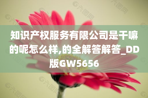 知识产权服务有限公司是干嘛的呢怎么样,的全解答解答_DD版GW5656