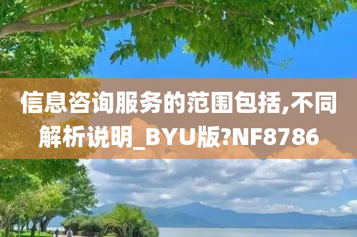 信息咨询服务的范围包括,不同解析说明_BYU版?NF8786