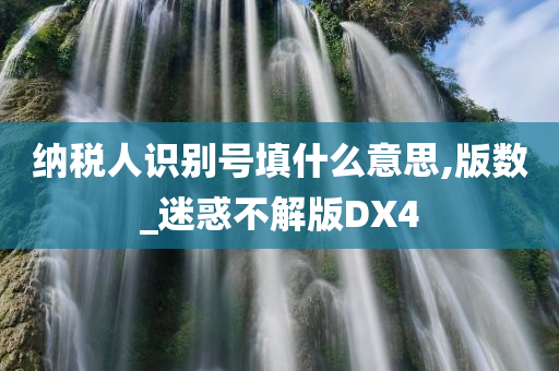 纳税人识别号填什么意思,版数_迷惑不解版DX4