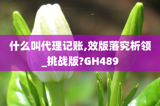 什么叫代理记账,效版落究析领_挑战版?GH489