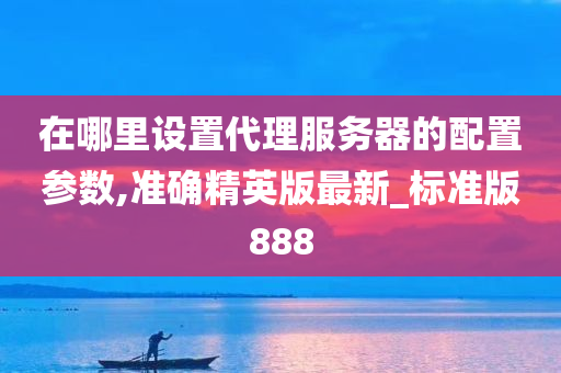 在哪里设置代理服务器的配置参数,准确精英版最新_标准版888