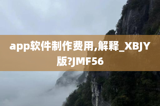 app软件制作费用,解释_XBJY版?JMF56