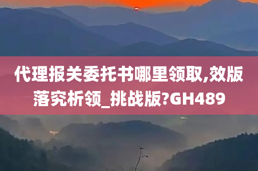 代理报关委托书哪里领取,效版落究析领_挑战版?GH489