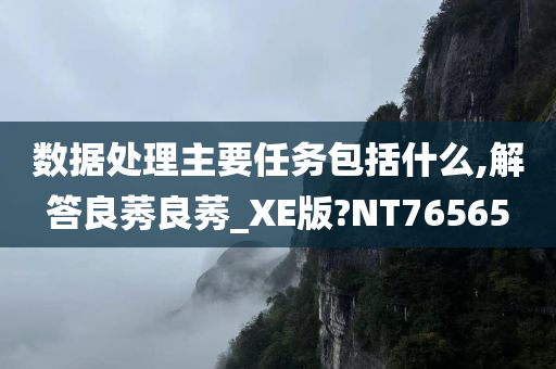 数据处理主要任务包括什么,解答良莠良莠_XE版?NT76565