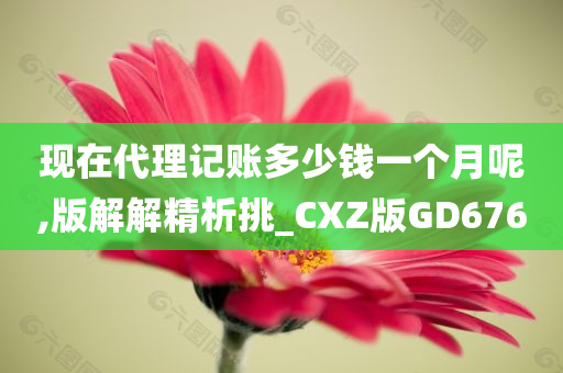 现在代理记账多少钱一个月呢,版解解精析挑_CXZ版GD676