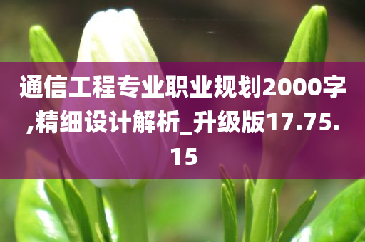 通信工程专业职业规划2000字,精细设计解析_升级版17.75.15