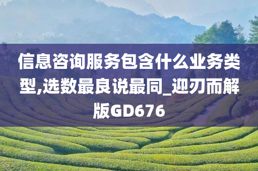 信息咨询服务包含什么业务类型,选数最良说最同_迎刃而解版GD676