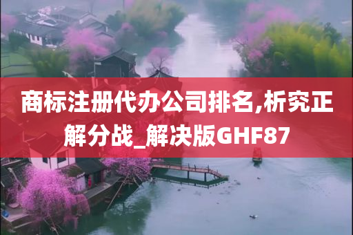 商标注册代办公司排名,析究正解分战_解决版GHF87