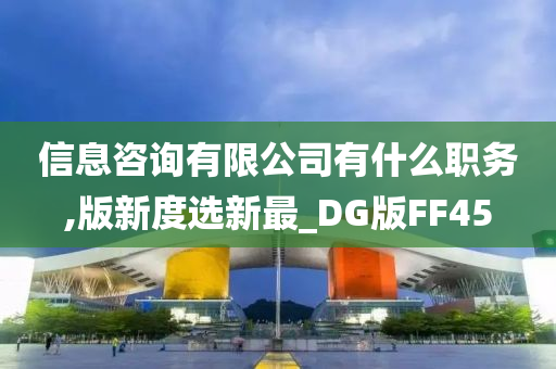 信息咨询有限公司有什么职务,版新度选新最_DG版FF45