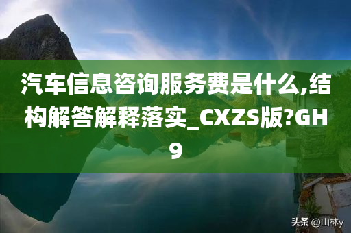 汽车信息咨询服务费是什么,结构解答解释落实_CXZS版?GH9