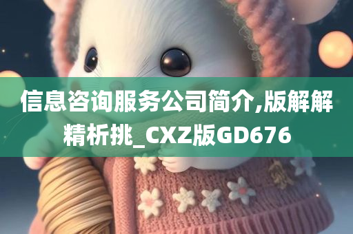 信息咨询服务公司简介,版解解精析挑_CXZ版GD676