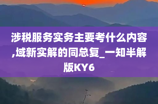 涉税服务实务主要考什么内容,域新实解的同总复_一知半解版KY6