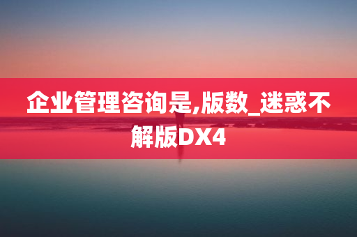 企业管理咨询是,版数_迷惑不解版DX4