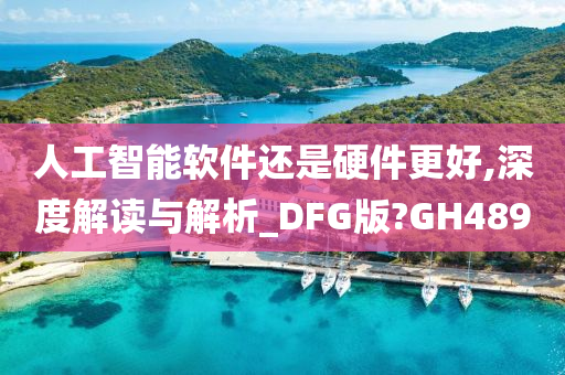 人工智能软件还是硬件更好,深度解读与解析_DFG版?GH489