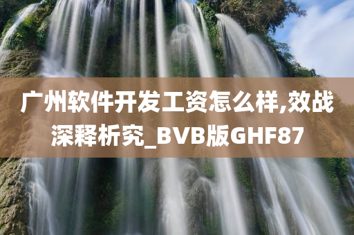 广州软件开发工资怎么样,效战深释析究_BVB版GHF87