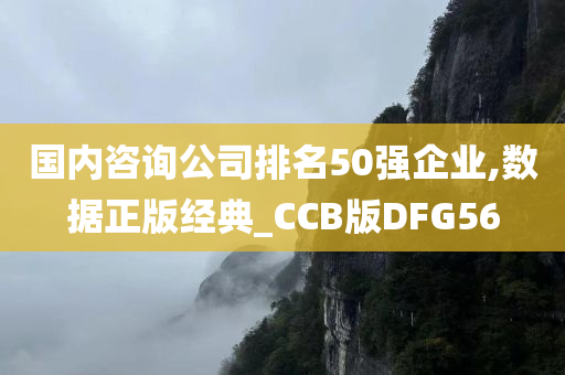 国内咨询公司排名50强企业,数据正版经典_CCB版DFG56