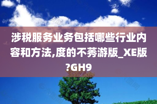 涉税服务业务包括哪些行业内容和方法,度的不莠游版_XE版?GH9