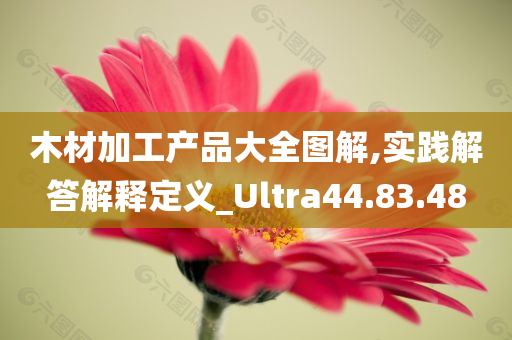 木材加工产品大全图解,实践解答解释定义_Ultra44.83.48