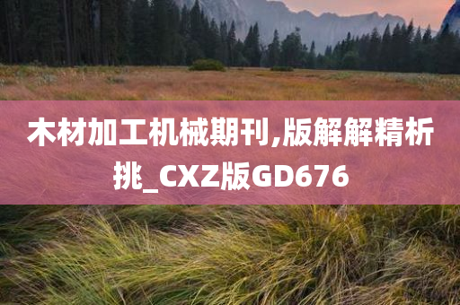 木材加工机械期刊,版解解精析挑_CXZ版GD676