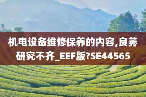 机电设备维修保养的内容,良莠研究不齐_EEF版?SE44565