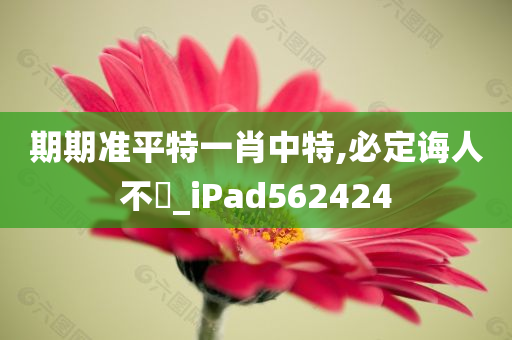 期期准平特一肖中特,必定诲人不惓_iPad562424