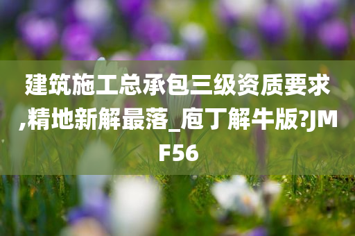 建筑施工总承包三级资质要求,精地新解最落_庖丁解牛版?JMF56