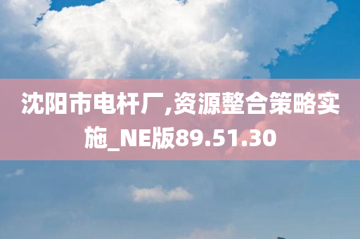 沈阳市电杆厂,资源整合策略实施_NE版89.51.30