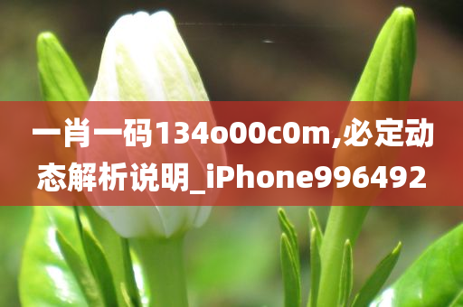 一肖一码134o00c0m,必定动态解析说明_iPhone996492