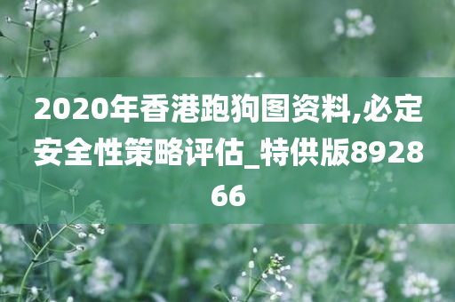 2020年香港跑狗图资料,必定安全性策略评估_特供版892866