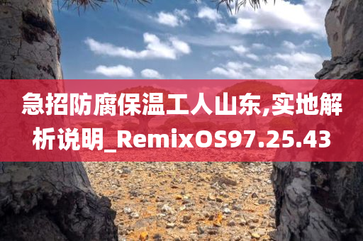 急招防腐保温工人山东,实地解析说明_RemixOS97.25.43