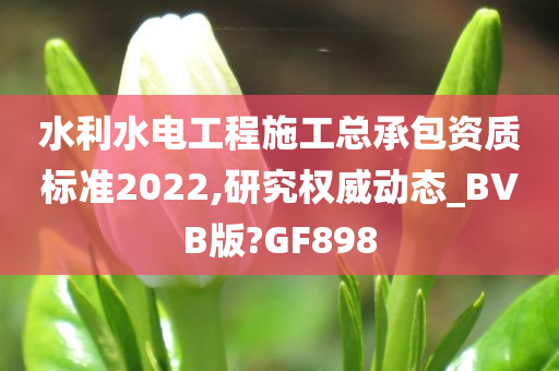 水利水电工程施工总承包资质标准2022,研究权威动态_BVB版?GF898