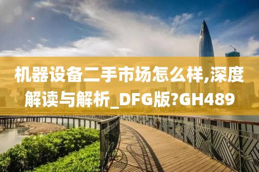 机器设备二手市场怎么样,深度解读与解析_DFG版?GH489